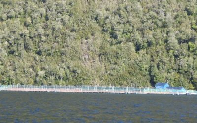 [Aisen Reserva de Vida] ¿A Alguien le Importan los Parques Nacionales?
