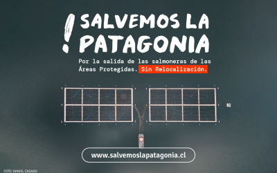 [Campaña] Lanzan campaña para salida de salmonicultura dentro de áreas protegidas