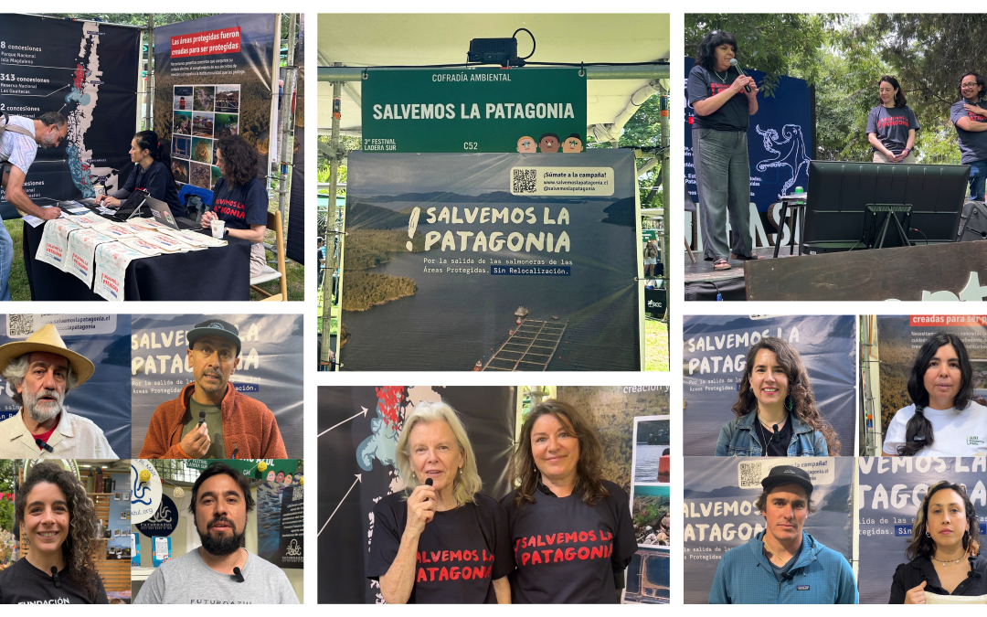 [Campaña] ¡Estuvimos en el Festival Ladera Sur 2024!