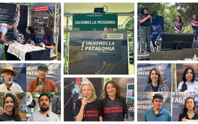 [Campaña] ¡Estuvimos en el Festival Ladera Sur 2024!