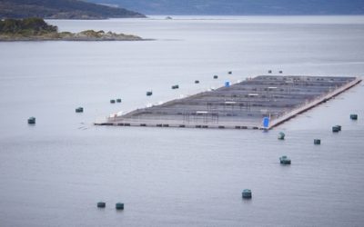 [DiarioPuertoVaras] Valoran llamado a cumplir la ley en caso Quiroga y sobreproducción de salmonera Australis