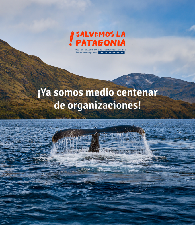Boletín-01