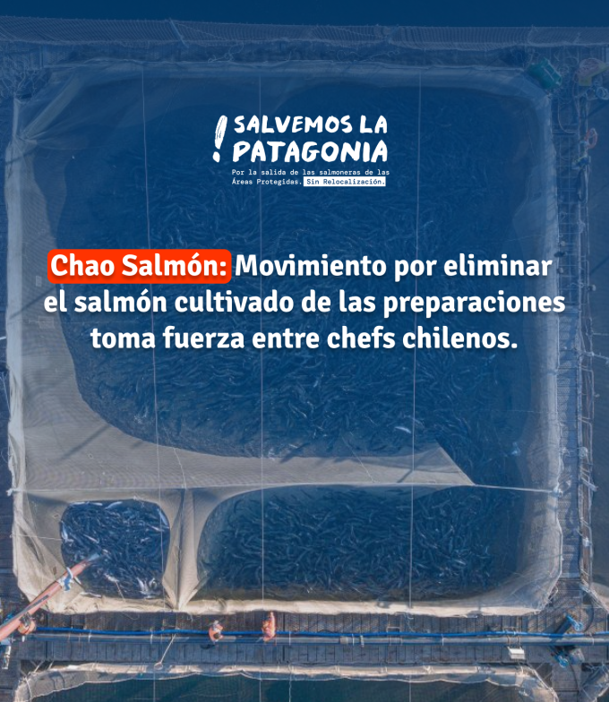 Boletín-05