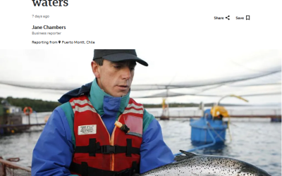 BBC aborda impactos de la industria del salmón en áreas protegidas