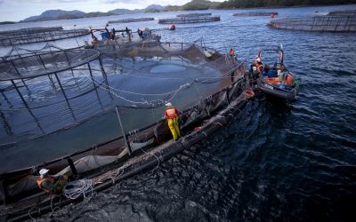 Dirigente de Islas Huichas interpela a autoridades en seminario sobre reservas nacionales y turismo por contaminación salmonera