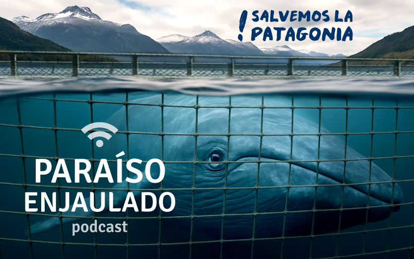 El llamado de la Patagonia: Llega el podcast Paraíso Enjaulado