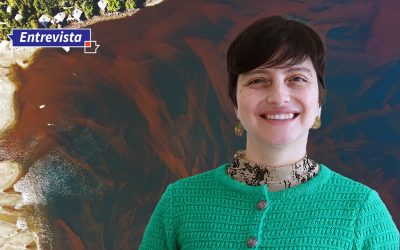 [El Desconcierto] “El aumento de la marea roja agrava las múltiples crisis socioecológicas de la Patagonia”, alerta investigadora