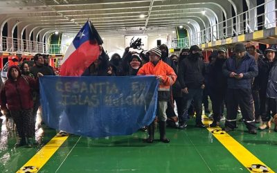 [Canal Sur Patagonia] Paradojas de una industria que crece: Islas Huichas, epicentro del crecimiento salmonero, clama por empleo