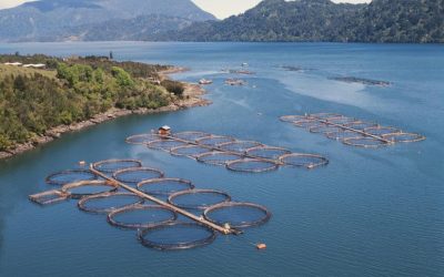 [El Divisadero] Dirigentes ecologistas llaman a candidatos presidenciales a incorporar el tema ambiental en sus programas