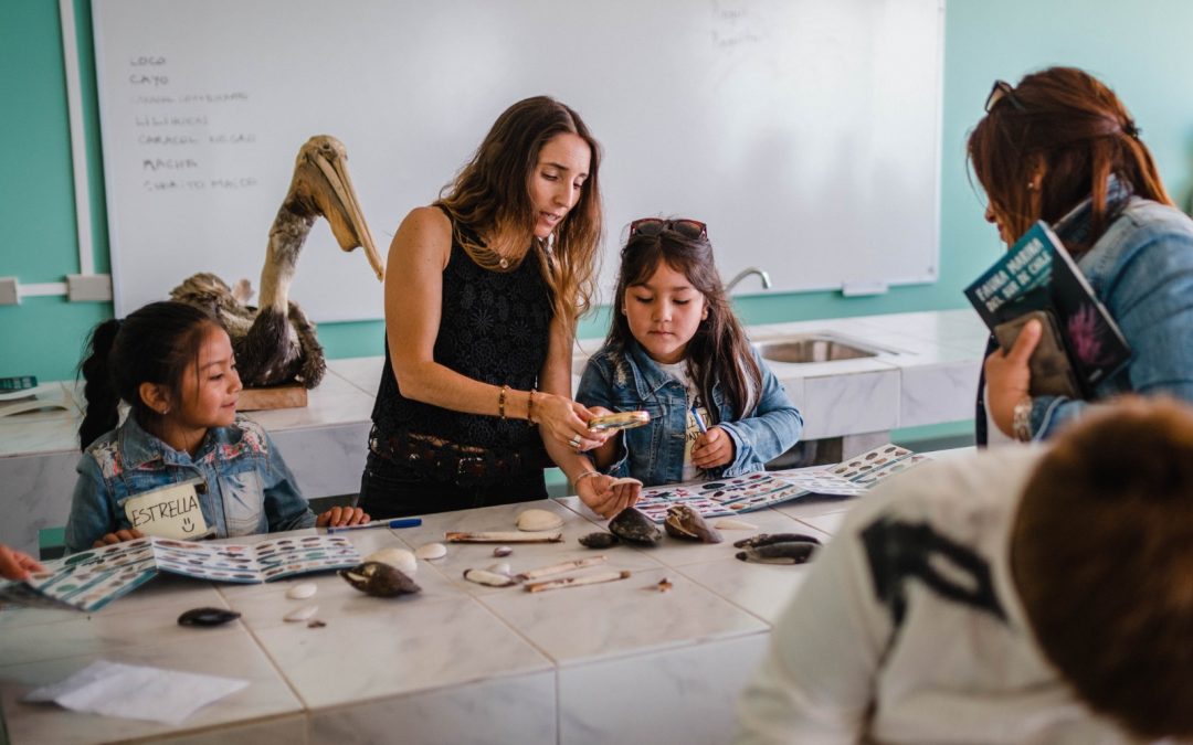 [Desconcierto]Profesora y bióloga: “La educación ambiental marina es una inversión a largo plazo para cuidar nuestro océano”