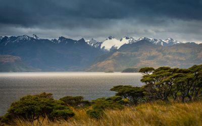 Francisco Viddi, Coordinador Programa Marino de Fundación Melimoyu: “Chile es líder en superficie protegida, pero uno de los países más desfinanciados del mundo en conservación”