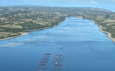 (Diario Sostenible) Ayseninos relegan a la industria salmonera a un séptimo lugar al pensar en el futuro de la región