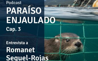 Tercer capítulo del podcast Paraíso Enjaulado: Lo que dice la ciencia sobre la industria salmonera