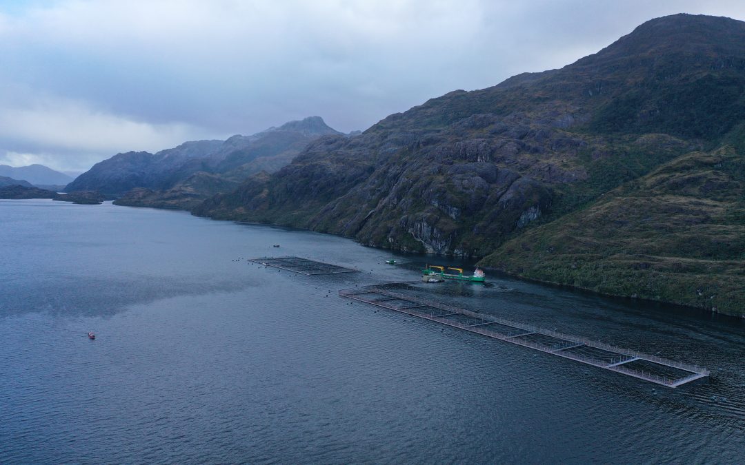 [G5 Noticias] Estudio alerta: Producción salmonera crece siete veces más rápido al interior de áreas protegidas que en zonas sin protección