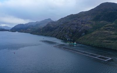 [G5 Noticias] Estudio alerta: Producción salmonera crece siete veces más rápido al interior de áreas protegidas que en zonas sin protección