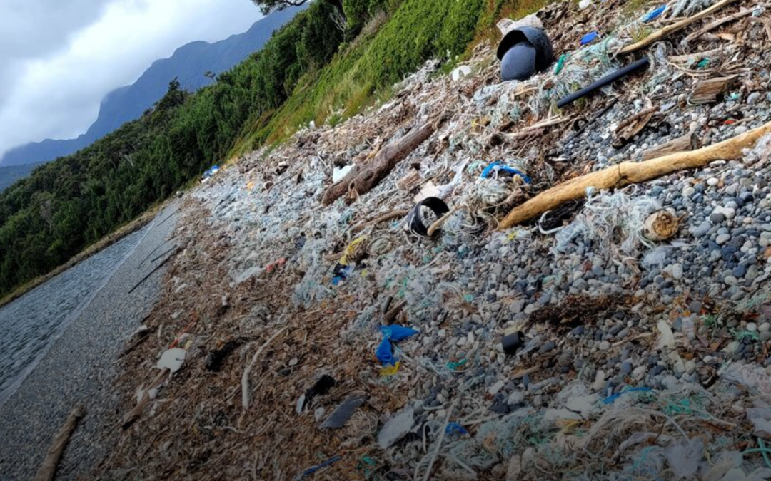 [Radio Genial] Aqua Chile entorpece decisión del CPLT que obliga a SUBPESCA a transparentar información sobre relocalización de salmoneras