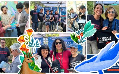 Campaña Salvemos la Patagonia instala debate sobre salmonicultura en parques nacionales frente a autoridades y expertos