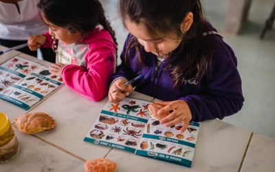 [Somos El Cambio] Conservación marina en Chile: una fundación trabaja para construir una «cultura oceánica». Entrevista a Carolina Zagal