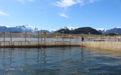 [El Divisadero] Corte de Apelaciones de Coyhaique confirma sanción a empresa salmonera por contaminación del fondo marino en Aysén