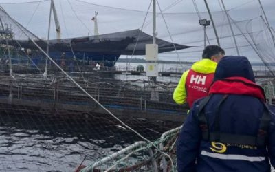 [Biobio Chile] Superan emergencia tras mortalidad de 283 toneladas de salmones en centro de cultivo en Quinchao