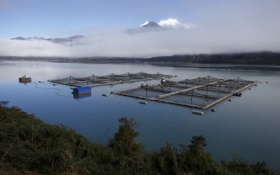 [Diario UChile] Proyecto de reconstrucción: el mar para algunos pocos