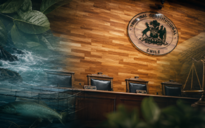[El Mostrador] Salmoneras, justicia y Escazú: el nudo ambiental de la ley miscelánea que llega al TC